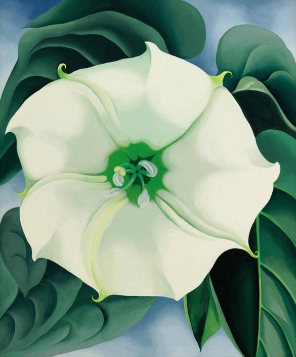 Georiga O'Keefe's "Jimsom Weed/White Flower No. 1